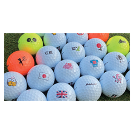 タイトリスト PRO V1 PRO V1X GJ